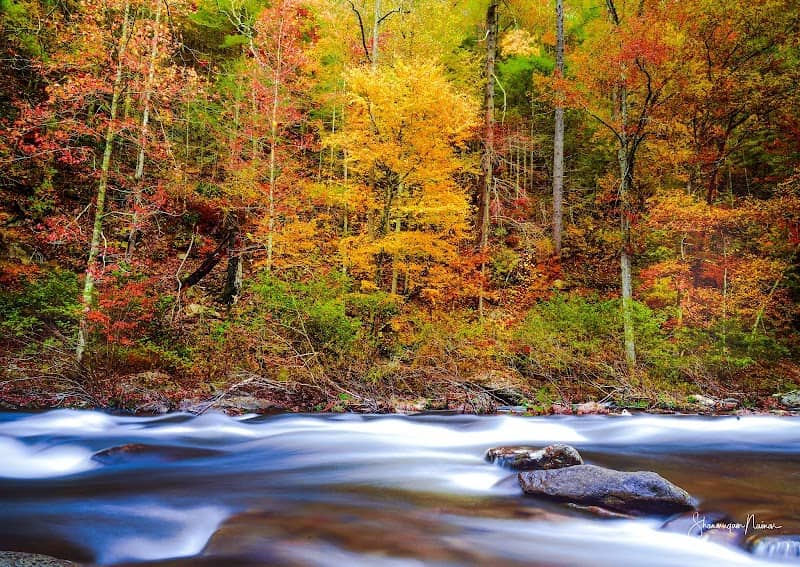 Bald River Falls - Image 3