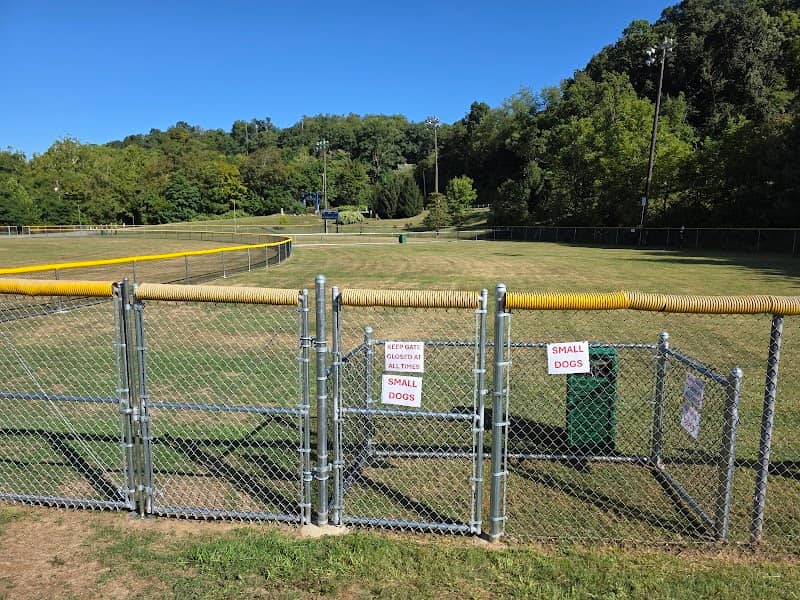 Kotecki Dog Park - Image 1