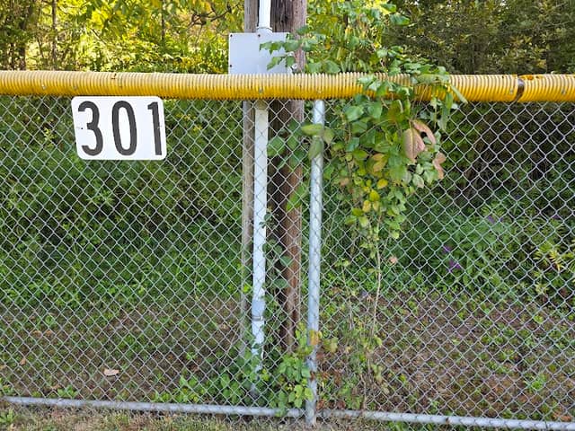 Kotecki Dog Park - Image 2