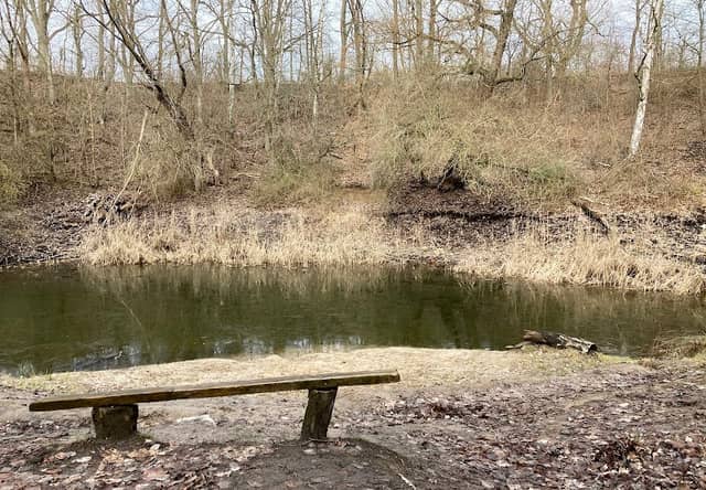 Tonteich in den Lausebergen - Image 1