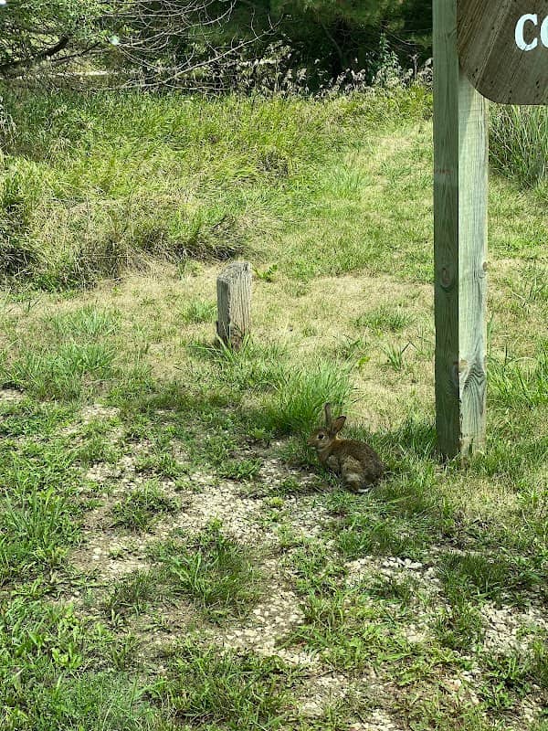 Hanson Prairie Preserve - Image 2