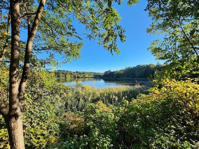 Tarrytown Lakes Park - Image 1