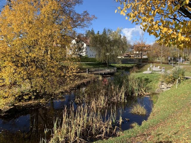 Lindenberg im Allgäu Stadtpark - Image 1