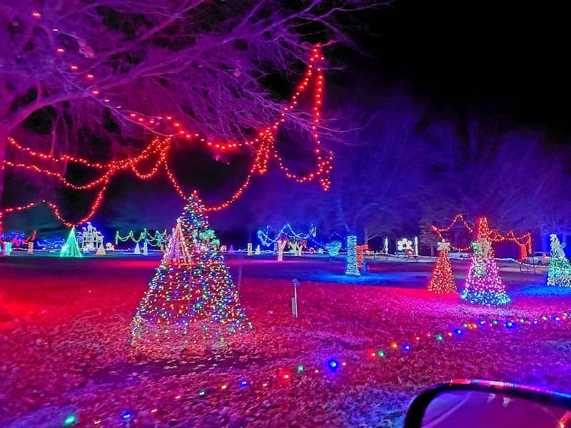 Christmas in the Park - Image 2