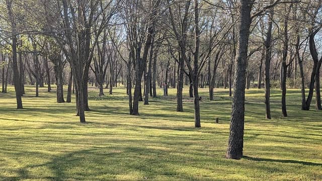 Amsler Park - Image 2
