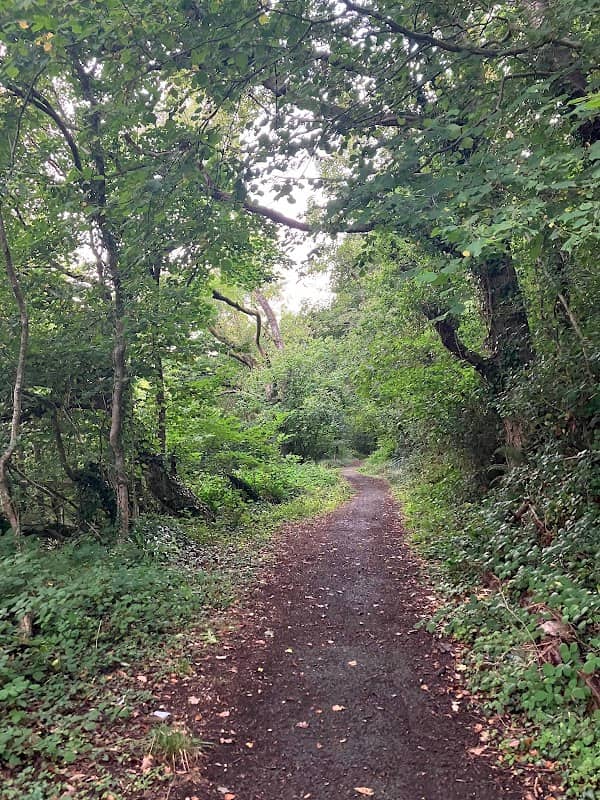 Forder Valley Local Nature Reserve - Image 1