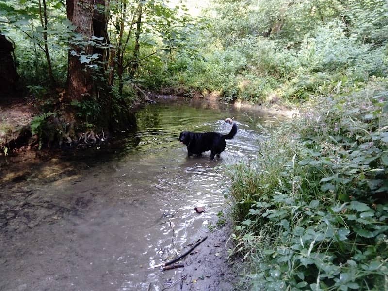 Forder Valley Local Nature Reserve - Image 2