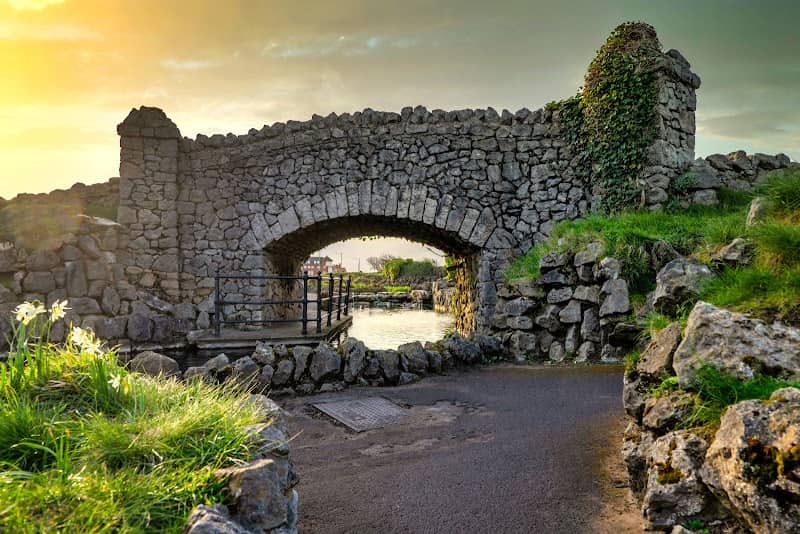 Ornamental Lake Garden - Image 1