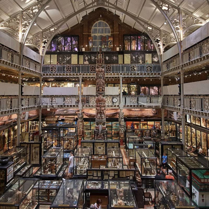 Oxford University Museum of Natural History - Image 2
