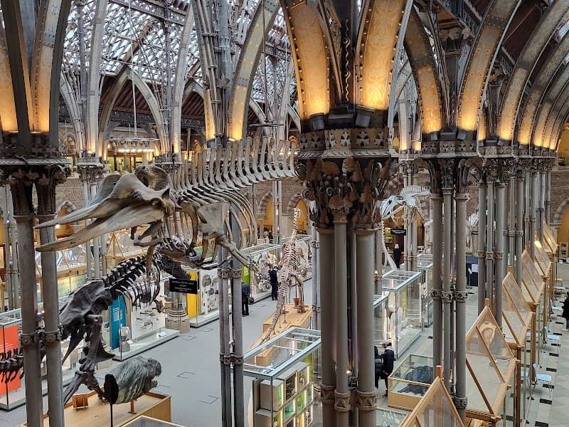 Oxford University Museum of Natural History - Image 1