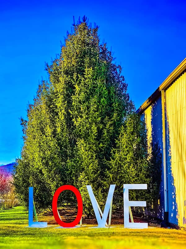 Virginia Loveworks Sign - Image 1