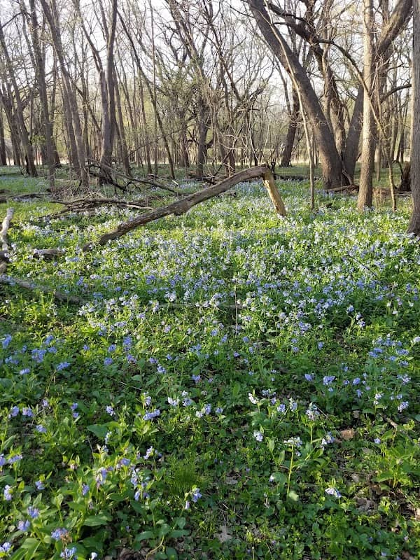 Katoski Greenbelt - Image 1