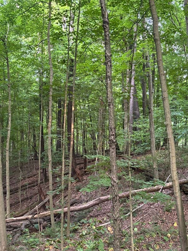 Clear Creek Park - Image 1