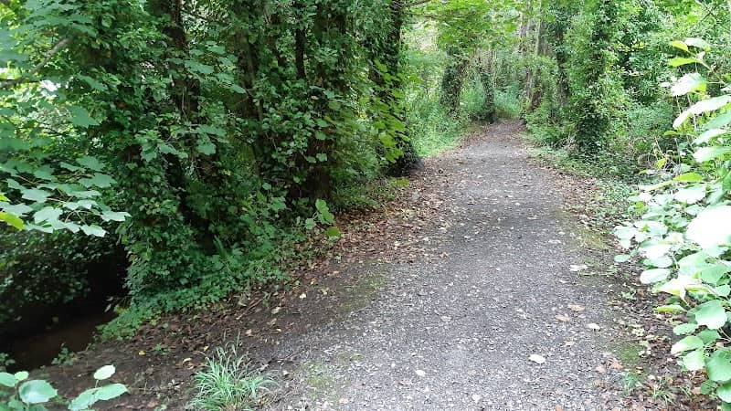 Tir Comin Llangoed - Image 1
