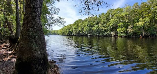 Little Pee Dee Heritage Preserve - Image 2