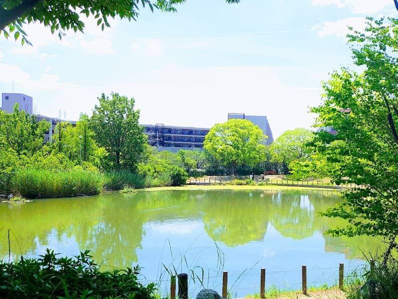 Hinoike Park - Image 2