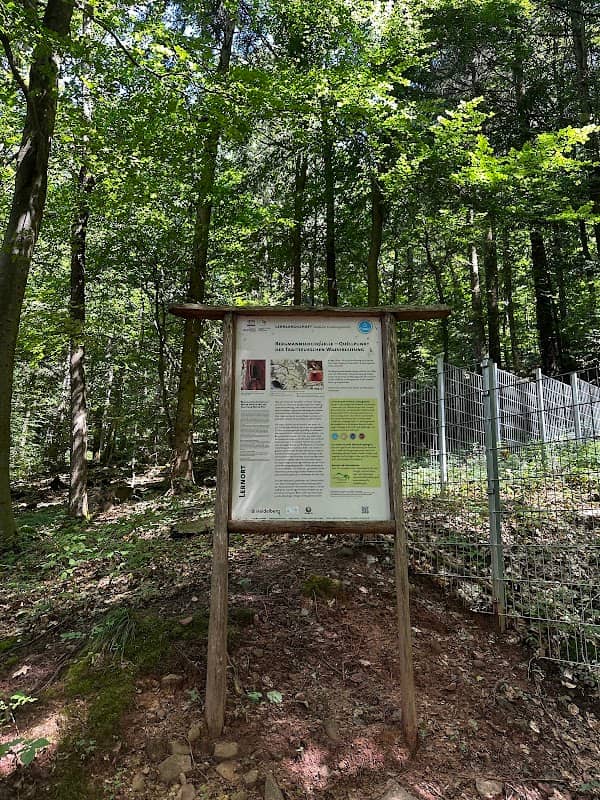 Bergmannslochquelle - Image 1