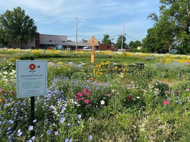 Pollinator Park - Image 1