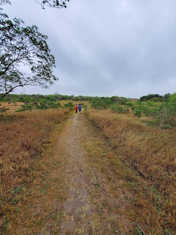 Harlingen Thicket World Birding Center - Image 2