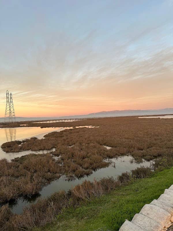 Baylands Observation Deck and Boardwalk - Image 1