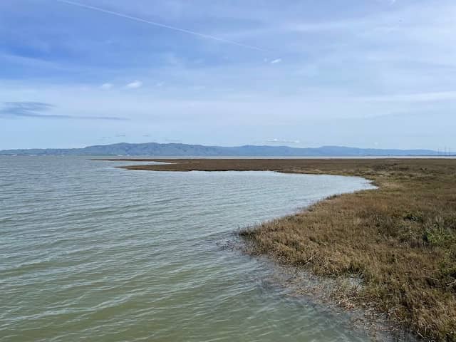 Baylands Observation Deck and Boardwalk - Image 3
