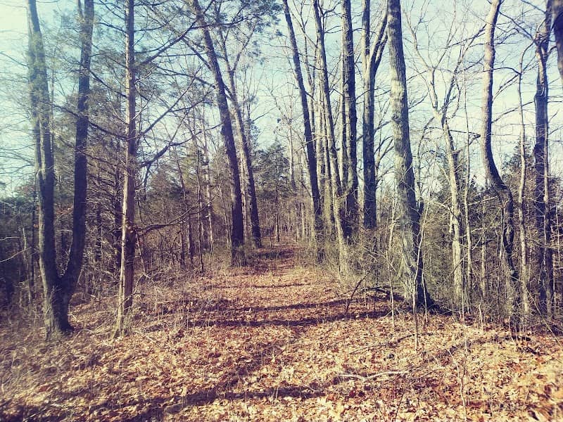 Tranquility State Wildlife Area - Image 1