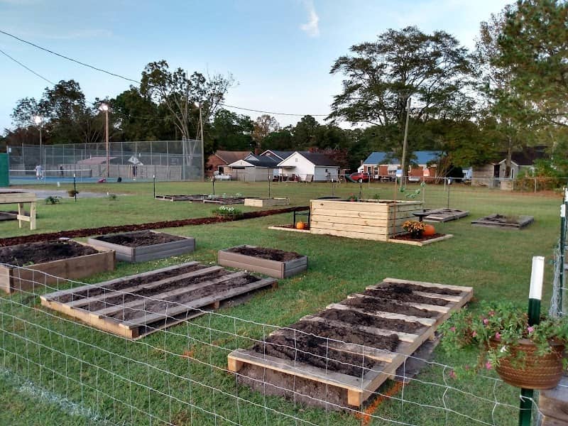 Williamston Community Garden - Image 2
