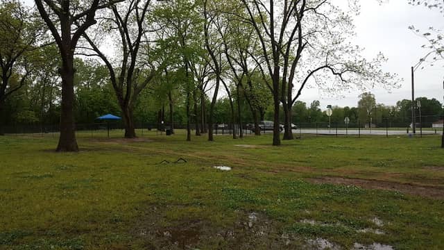 Bark West Dog Park - Image 2