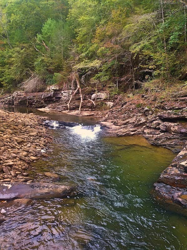 Piney River Management Area, Cumberland State Scenic Trail - Image 2