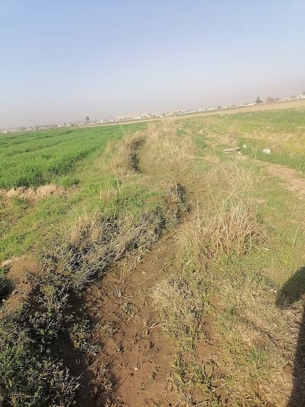 عرزالة النجم - Image 1