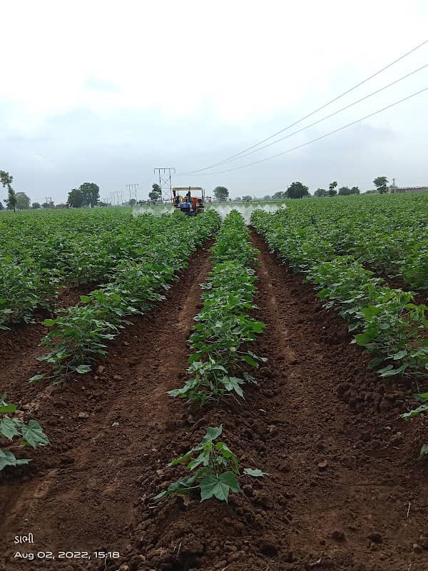 Chamunda farm - Image 1