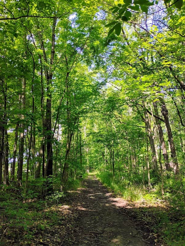 Bloodroot Trailhead North - Image 1