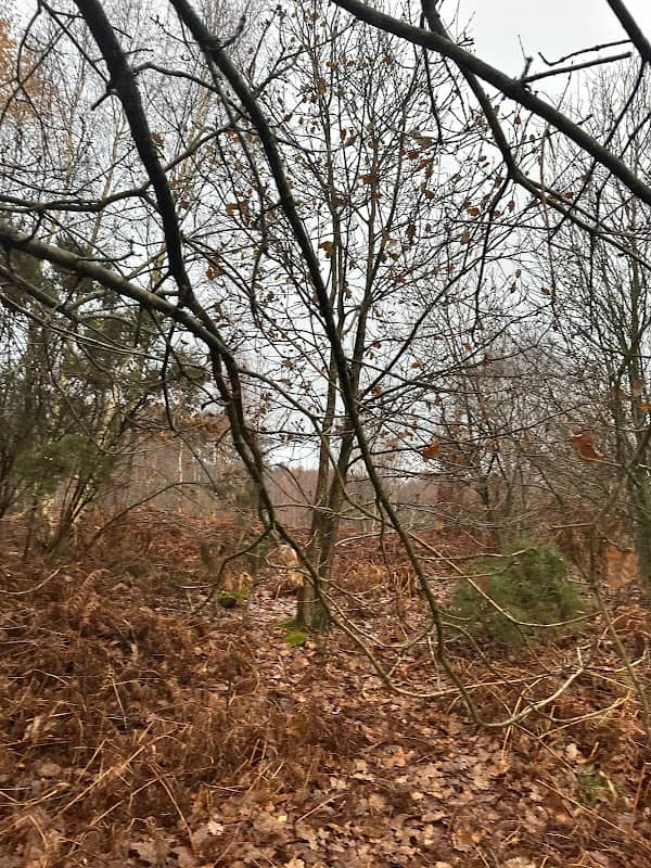Little Hill - Image 2