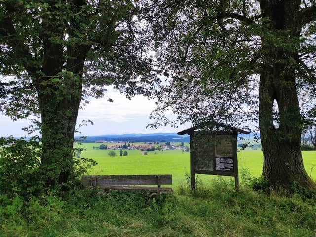 Balterazhofer Höhe - Image 1