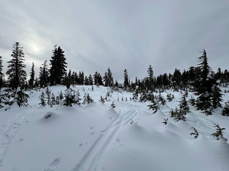 Hollyburn Mountain - Image 1