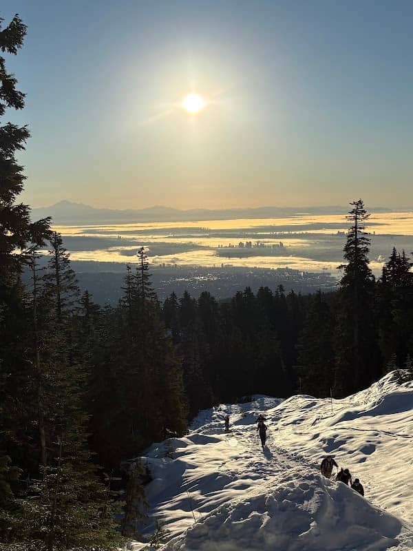 Hollyburn Mountain - Image 3