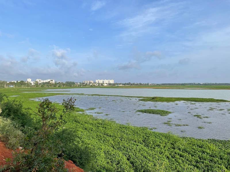 Hoskote Lake - Image 1