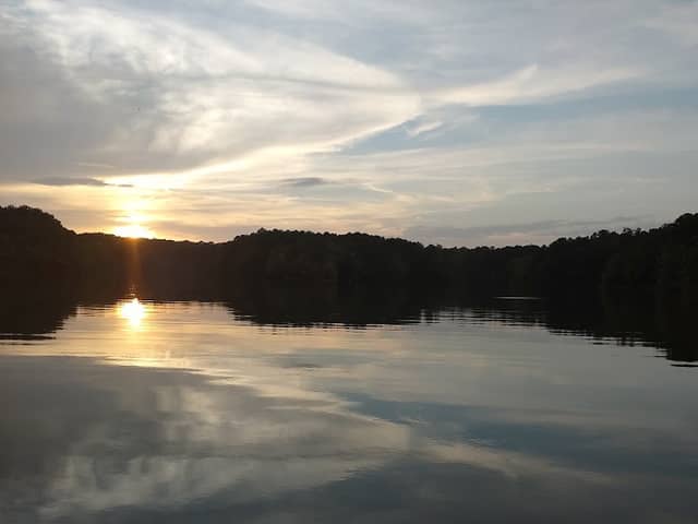 Piney Grove Island - Image 1
