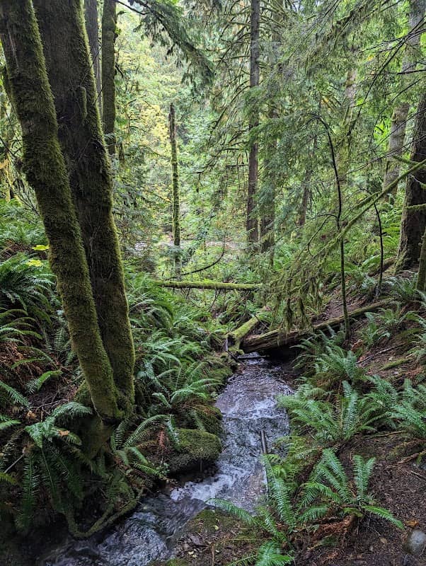 Holland Creek Trail Head - Image 1