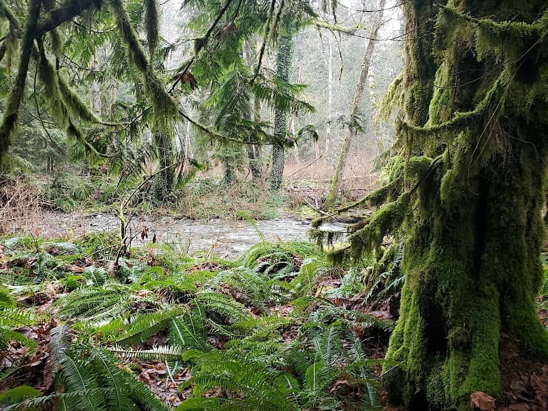 Holland Creek Trail Head - Image 2