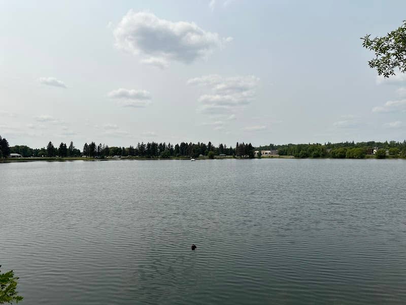 World's Largest Floating Loon - Image 1