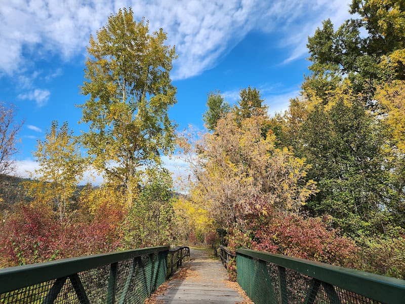 Salmon Trails - Image 2