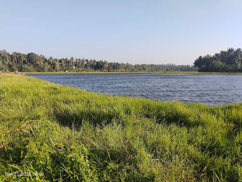 Puthur Lake - Image 1