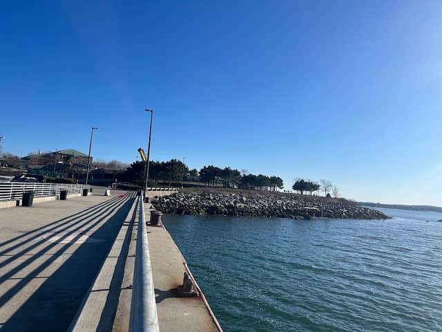 Nut island hough's neck - Image 1