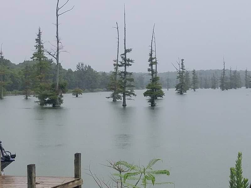 Big Lake Wildlife Management Area - Image 2