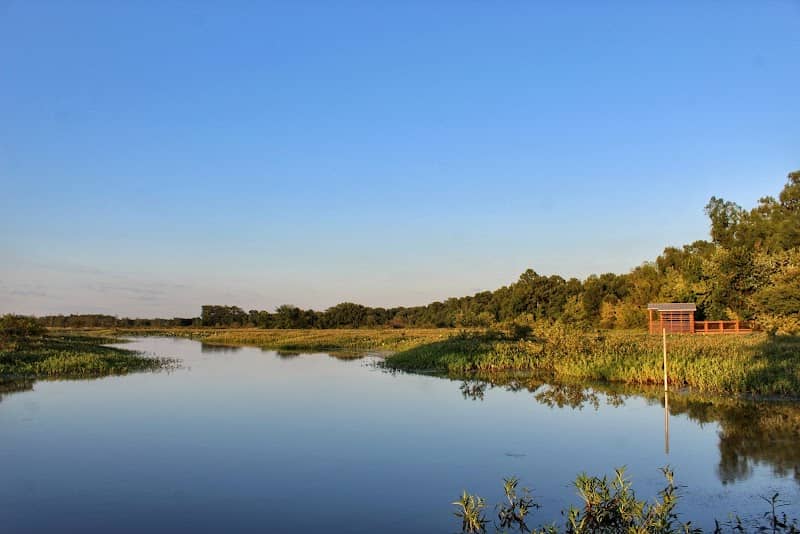 Big Lake Wildlife Management Area - Image 1