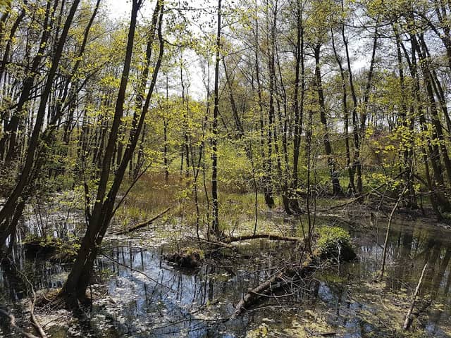 Sutschketal - Image 1