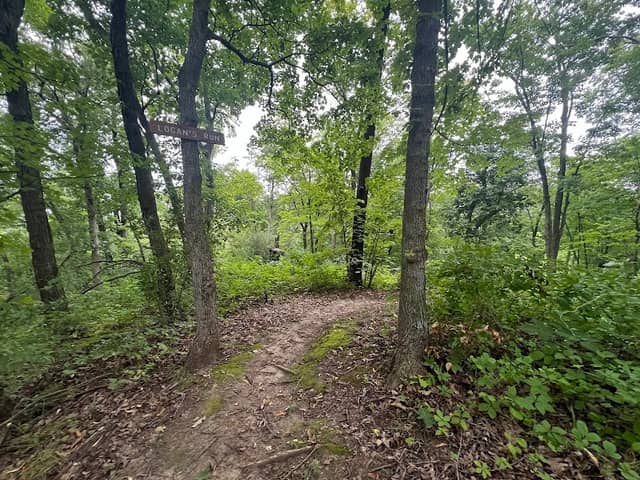 Sunbridge Hills Conservation Area - Image 1