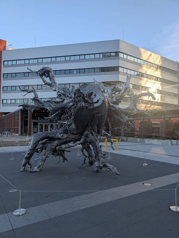 Sculpture "Root" - Image 1