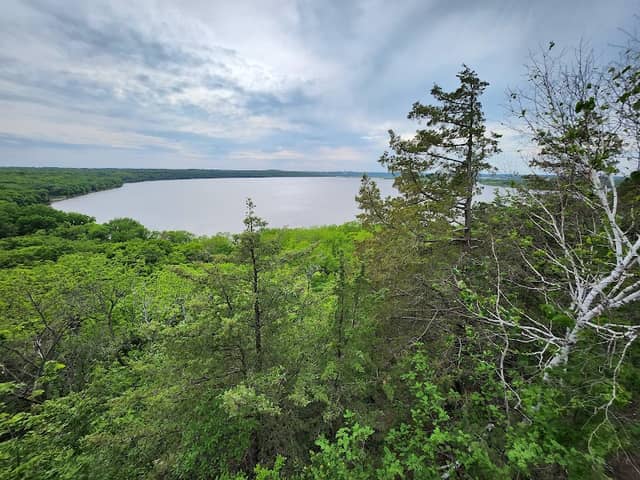 Schaar's Bluff Trail - Image 3